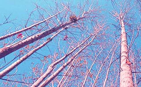 ���ח�̰�ģ���\��ʮƪ