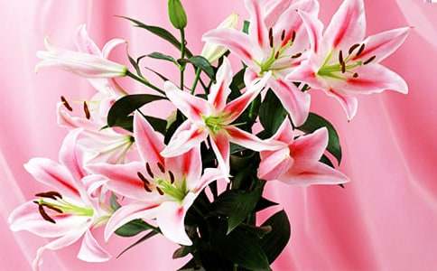 �ٺϻ��ĸ��N���Z���x