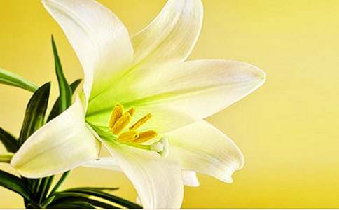 �P(gu��n)�ڰٺϻ��Ļ��Z(y��)���x