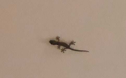 С�ڻ���β�ͽ̰�(15ƪ)