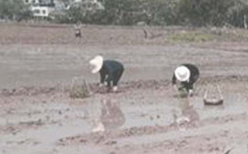 ���������Ľ̰�