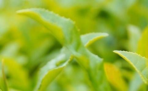 ���~���N���(d��ng)����15ƪ���؂䡿