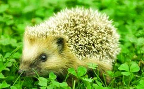 �����(d��ng)�̰���С��⬡�