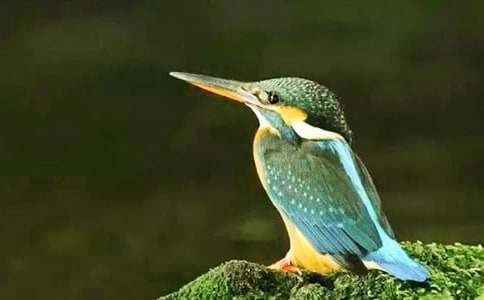 �P(gu��n)�ڡ����B�� �Ľ̰�