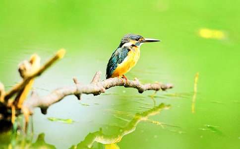 �����B���̰�