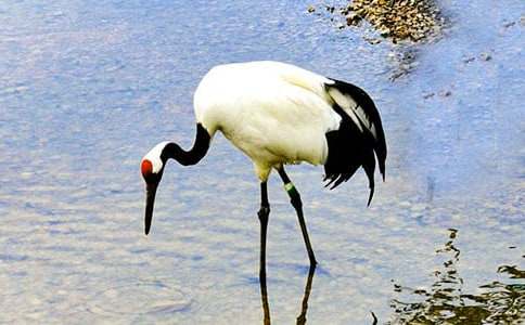 �n�ġ������ĵ���Q���Ľ̰�