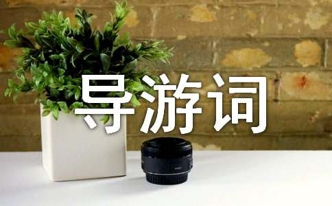 Ԫ�(y��ng)���(d��o)���~15ƪ