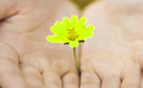 �o�������ѵĵ�Ǹ��