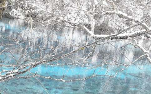 ��������ďV����