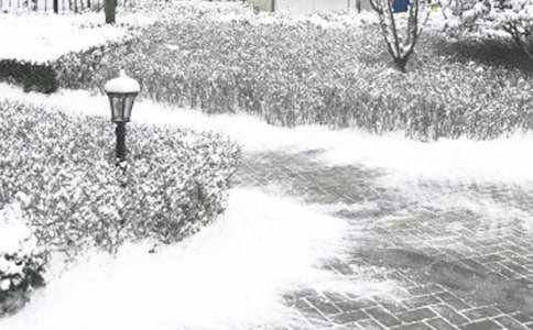 ���������A(y��)���̰�ģ�壨ͨ��14ƪ��