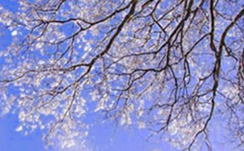 (��(y��u))С�W(xu��)���������600��