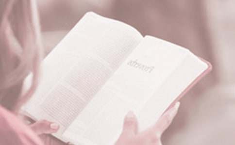 4.23�����x�������v��