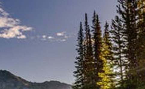 �茑��Ȼ�L(f��ng)��������