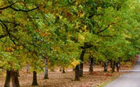 �ҵ��L(f��ng)������600����ƪ