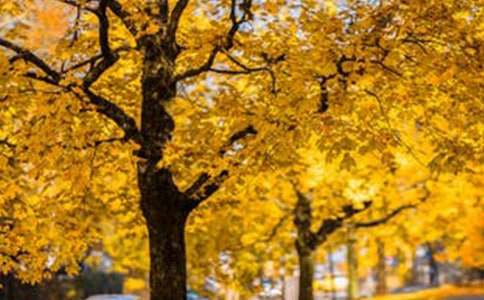 ʯ���L���^(q��)�����~