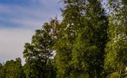 �@�����L(f��ng)����������15ƪ��ͨ�ã�