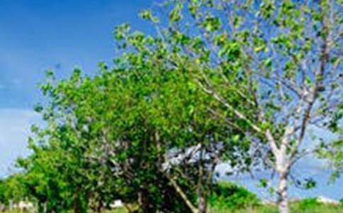 ����·��ʯ���L(f��ng)���^(q��)��(d��o)���~(4ƪ)