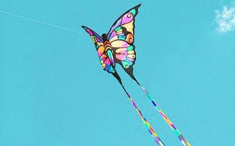 �x���L�~�Ǖ��w���~���иУ����x10ƪ��