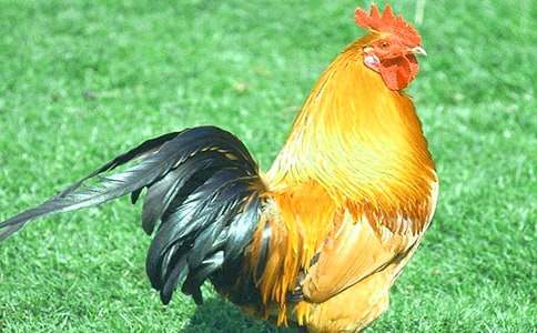 ���u�ڵĹ��u�̰��R��6ƪ