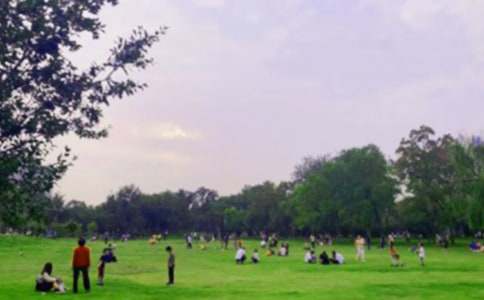 �Ϻ����@��(d��o)���~