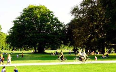 ��ɽ���@��(d��o)���~