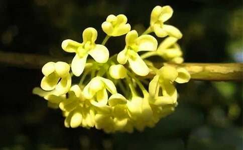 �𻨵Ļ��Z���x�����f���½�B