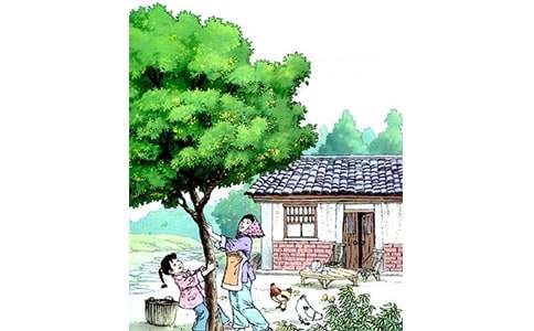 �����꡷��(y��u)��̰��OӋ����