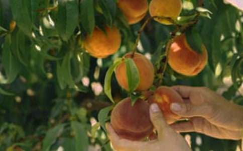 ���@�а���ͬ15ƪ