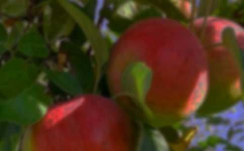 ���˹��@�а���ͬ7ƪ����(y��u)�㡿