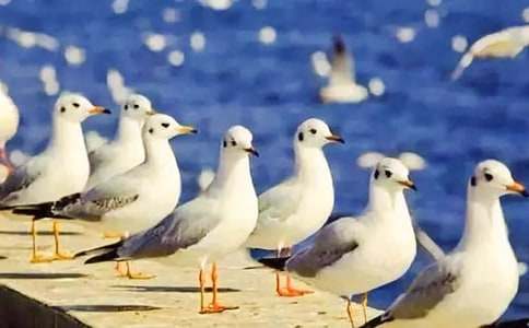 ���t�̼{ɭ�x���15ƪ����(y��u)�㡿