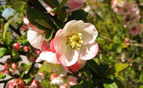 ���]�����~�����^���