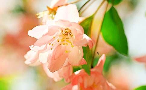 ���Ļ��Ļ��Z(y��)��ȫ