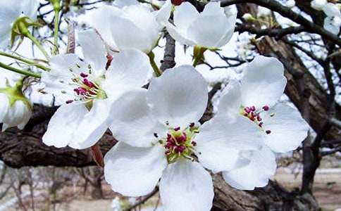 ���~���ĵ��^��У����x35ƪ��