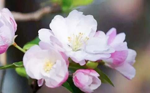 �����~(y��)���ġ��^��С�����