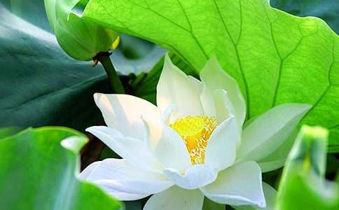 ���؂䡿�ɻ��̰�3ƪ