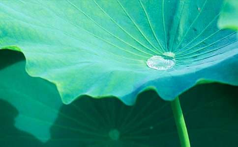 ���P(gu��n)�����~�A�A���̰�ģ���\��9ƪ