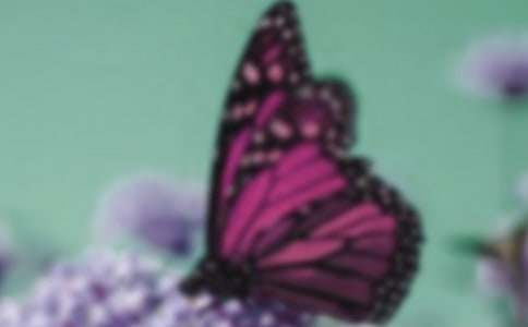 ��ɫ�����m�Ļ��Z�������L����-�r���Y�x