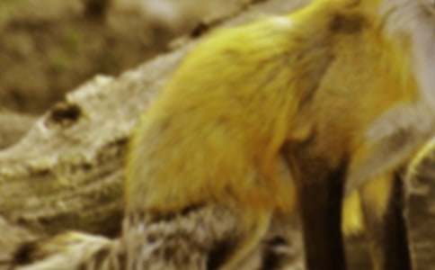 ����Z(y��)�Ժ�؂�ְ������Ӽҽ̰�