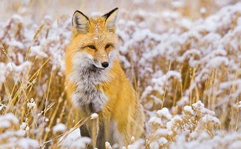 ���ٱ���؂�_һ�Ρ��x���