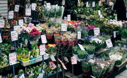 ����Ą�(chu��ng)�I(y��)Ӌ(j��)����