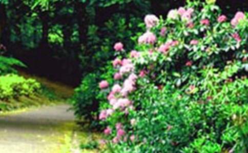 ���@��I(y��)��������(w��)�f(xi��)�h