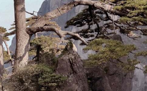 �Sɽ��(d��o)���~�؂�[15ƪ]