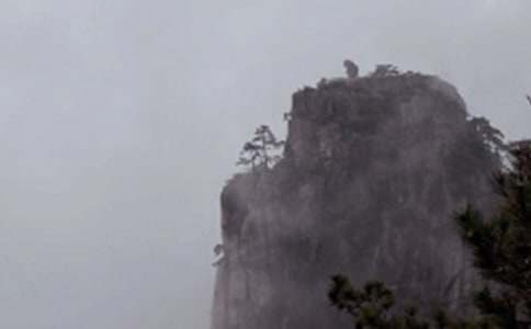 �Sɽ��(d��o)���~�����x��