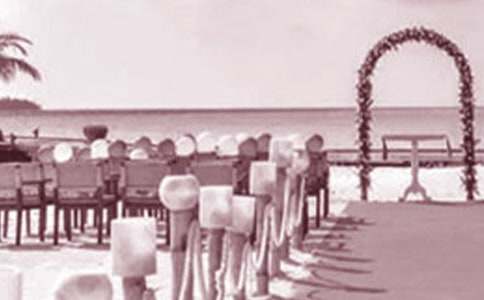 ��YŮ�������vԒ��(����15ƪ)