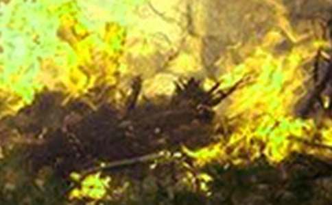 ���(z��i)�l(f��)������ĵ��w��(hu��)