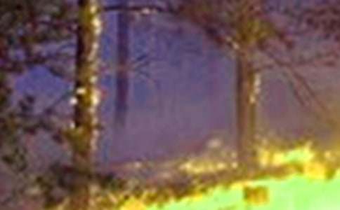 �A(y��)�����(z��i)119������(bi��o)�Z