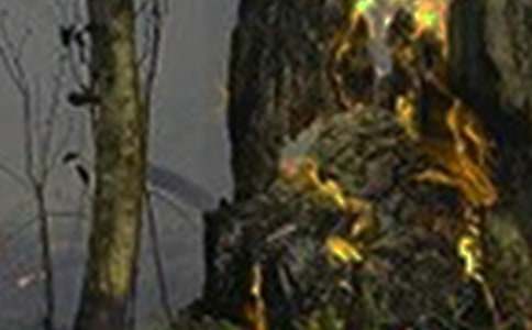 ����¹ʵ��{����