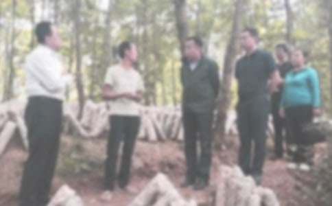 �o(j��)�z���W(xu��)�ڹ���Ӌ(j��)��