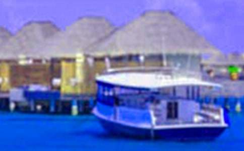 ���ڰ�ȫ���C��