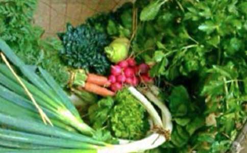 �����������vԒ�巶��ͨ��